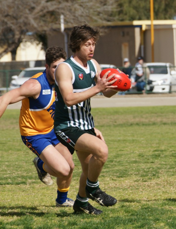 vLions290815 3
