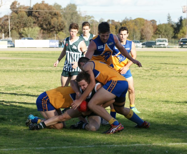 vLions290815 31
