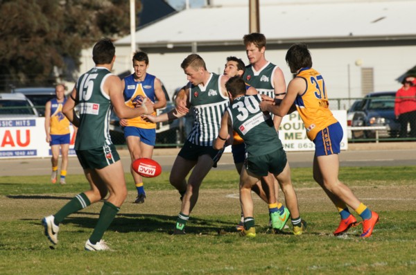 vLions290815 34