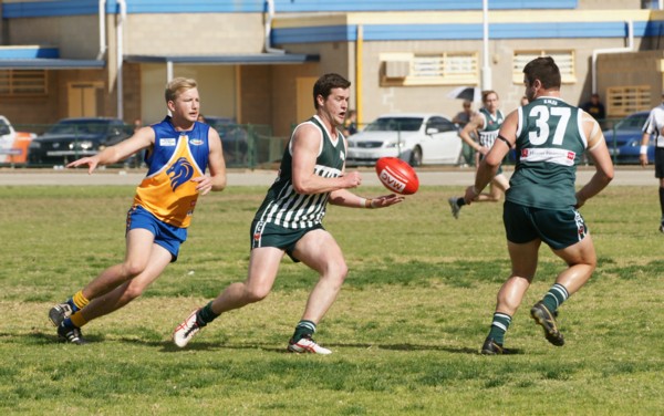 vLions290815 4
