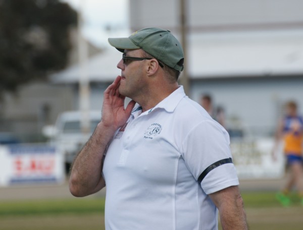 vLions290815 5jpg