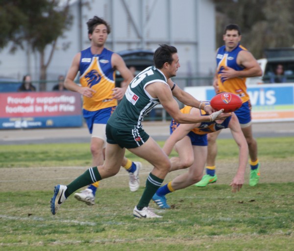 vLions290815 6