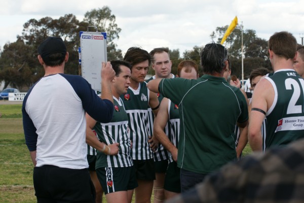 vLions290815 7