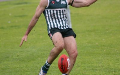 Inglis & Mellow 2015 leading goal kickers