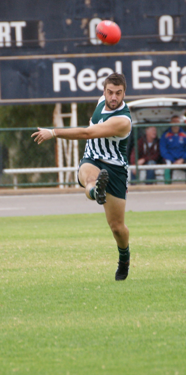 vLions070516 2