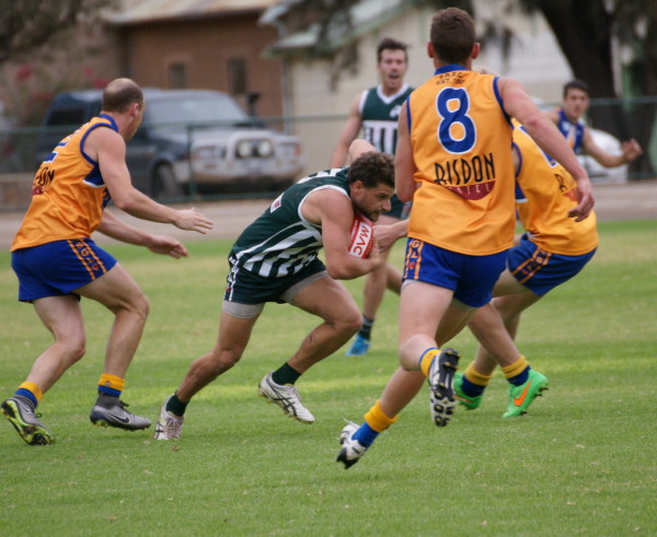 vLions070516 26