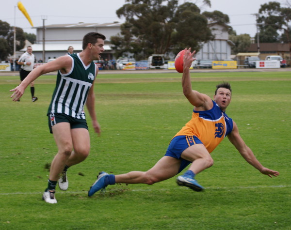 vLions070516 27