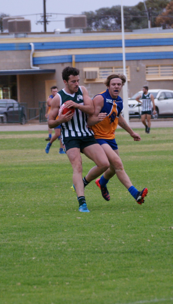 vLions070516 39