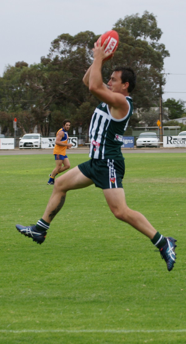 vLions070516 6