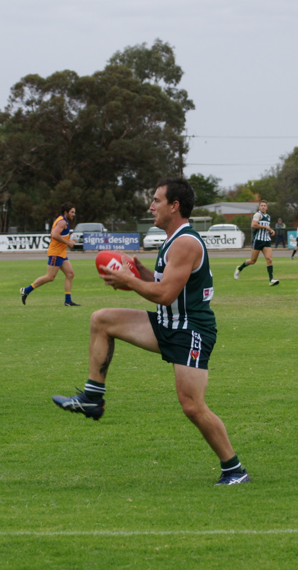 vLions070516 7