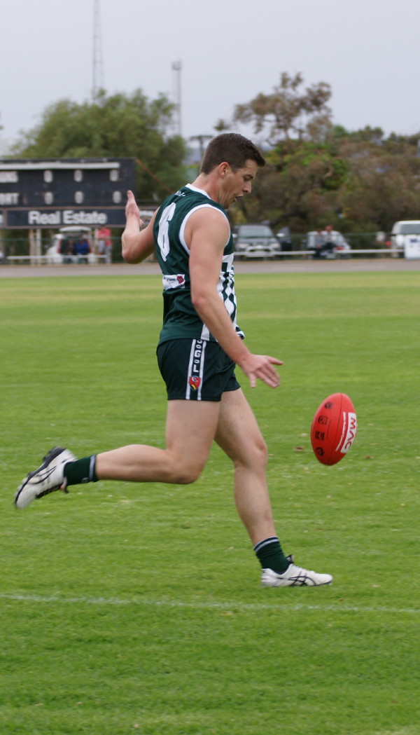 vLions070516 9