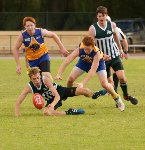 vLions190616 16