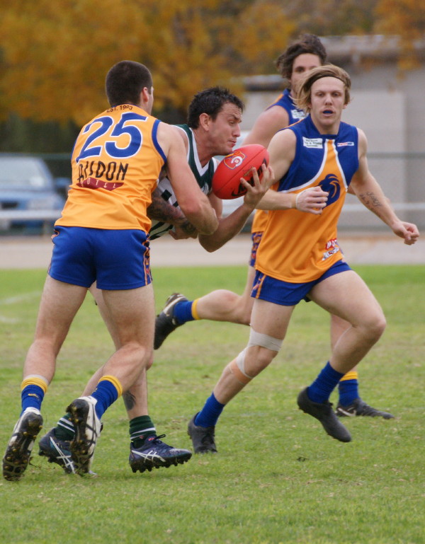 vLions190616 33