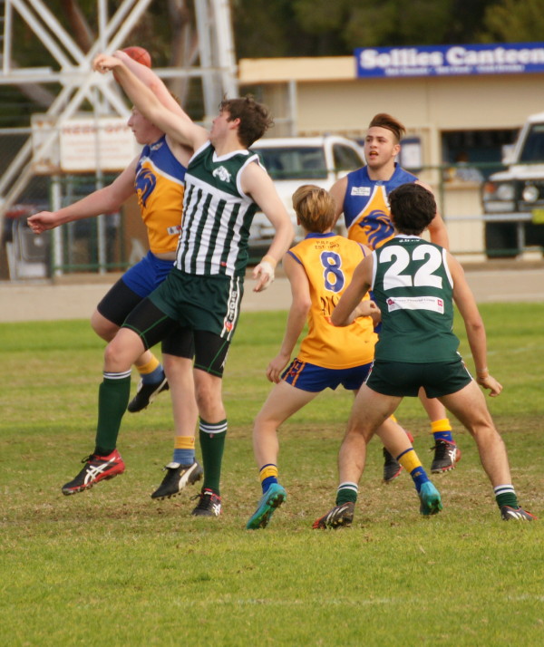 vLions190616 4