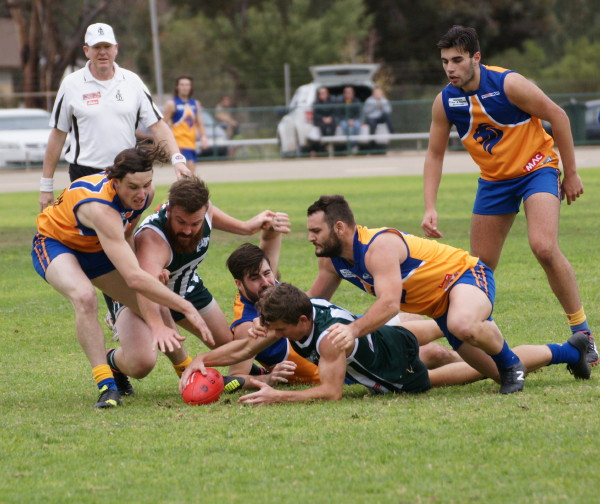 vLions190616 40