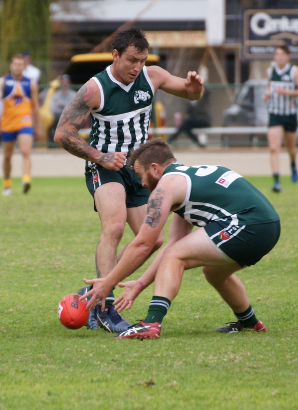 vLions190616 41