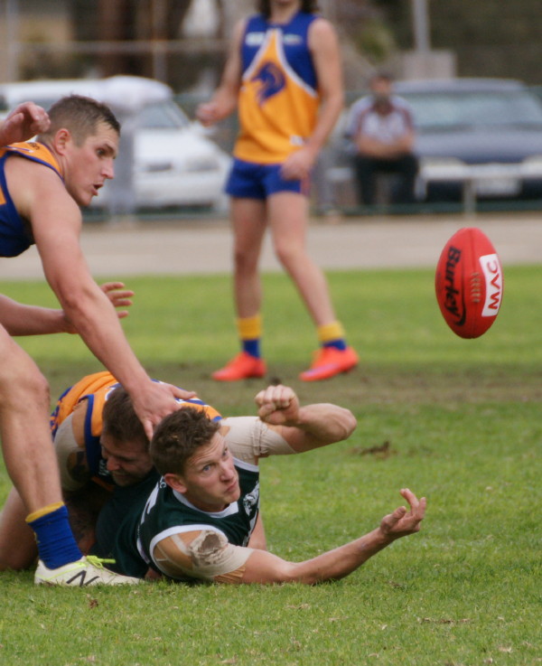 vLions190616 47