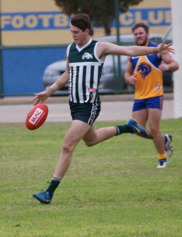 vLions190616 50