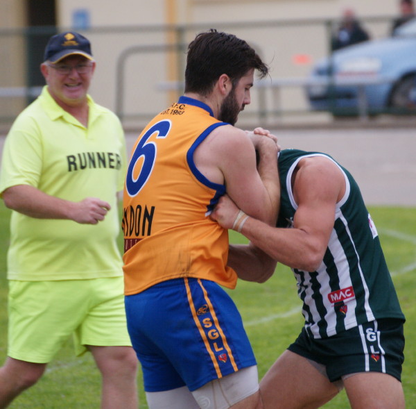 vLions190616 58