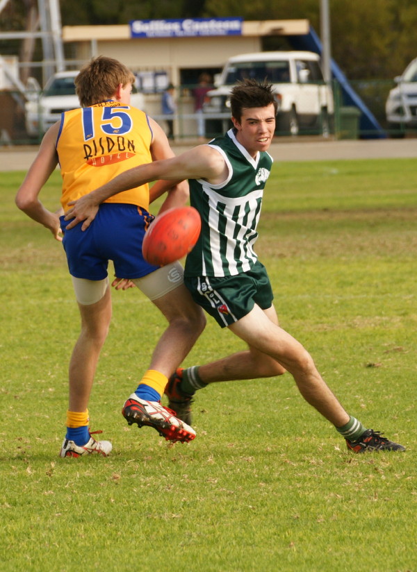 vLions190616 9