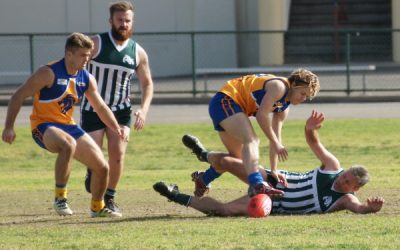 Photos v Lions 30th July 2016