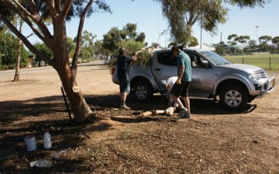 Photos Working Bee 26th Feb 2017