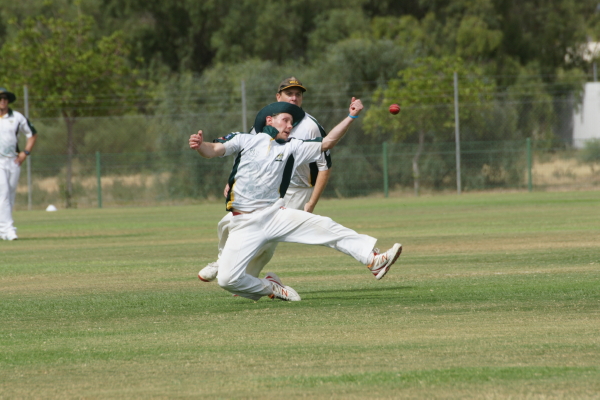 CricketGF2017 13