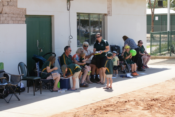 CricketGF2017 3