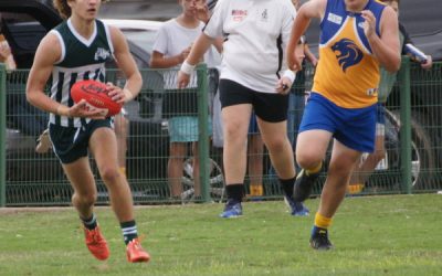 Photos v Lions 29th April 2017