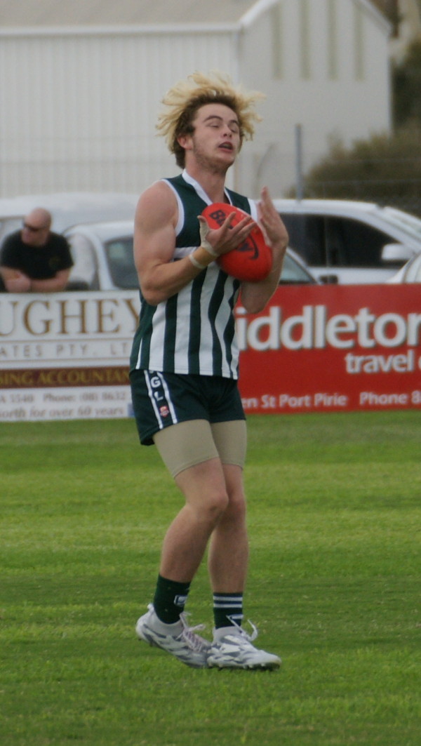 vLions290417 10