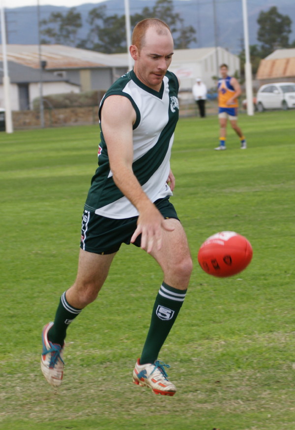 vLions290417 15