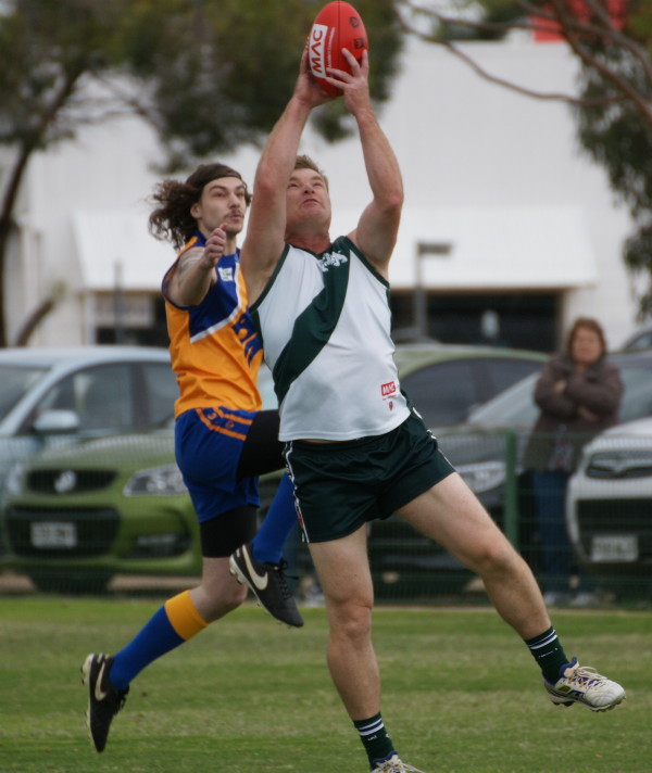 vLions290417 16
