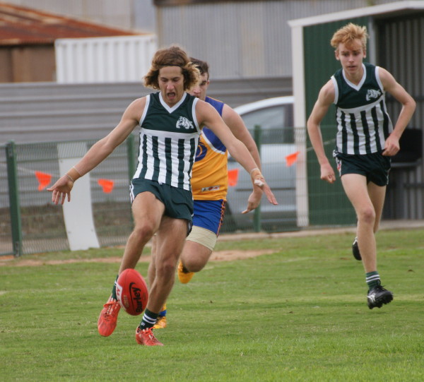 vLions290417 2