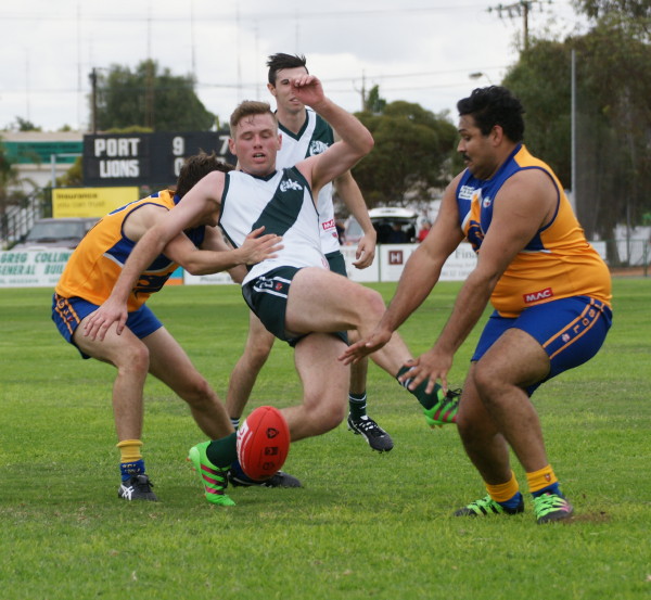 vLions290417 23