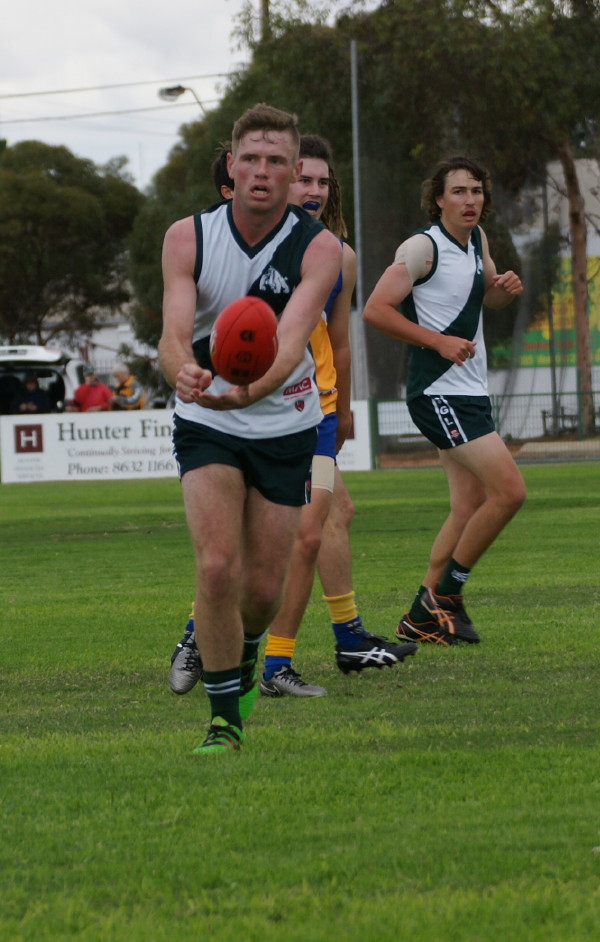vLions290417 25
