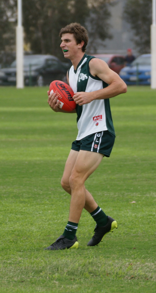 vLions290417 41