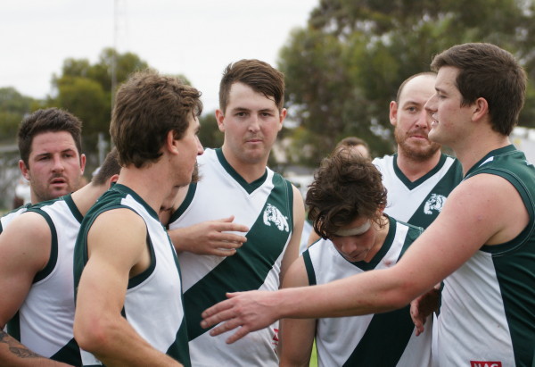 vLions290417 49