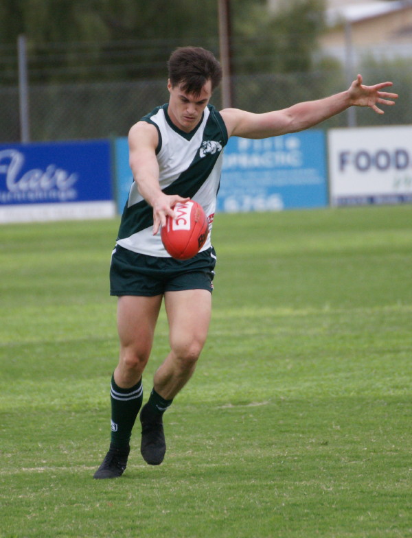 vLions290417 52