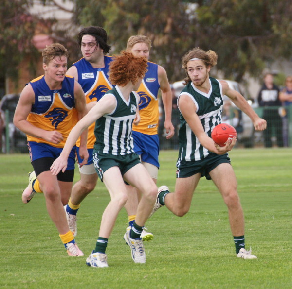 vLions290417 6