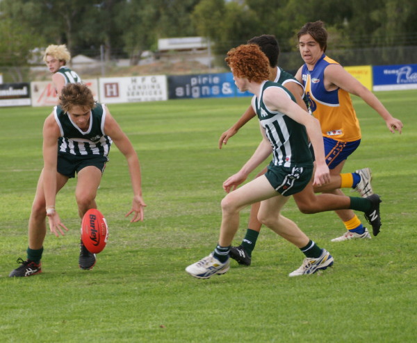 vLions290417 9