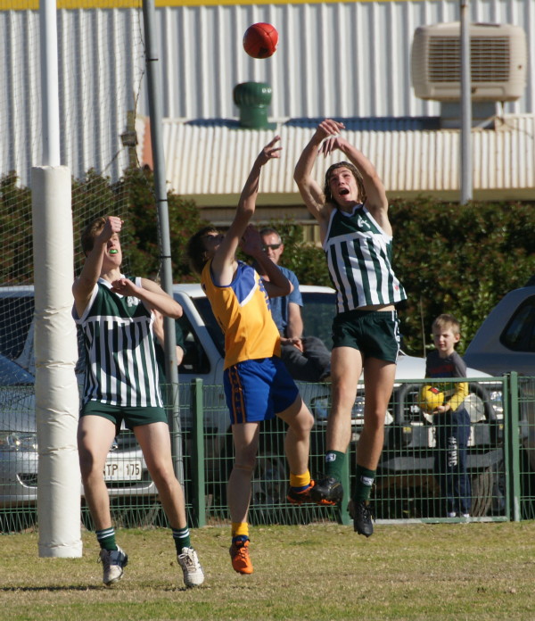 ThirdsvLions030617 14