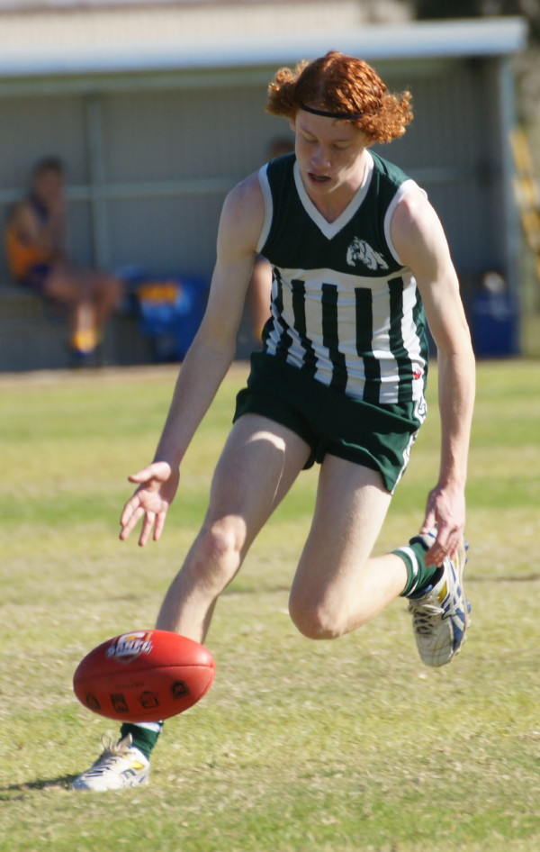 ThirdsvLions030617 3