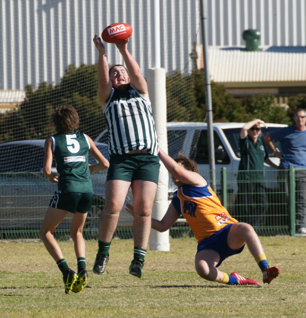 ThirdsvLions030617 43