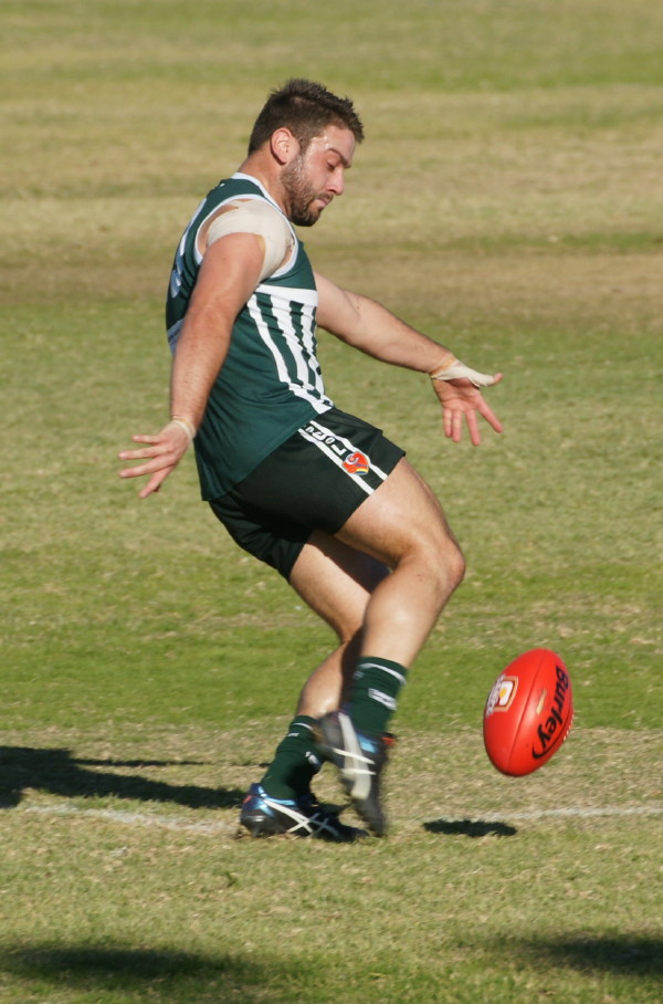 vLions030617 10