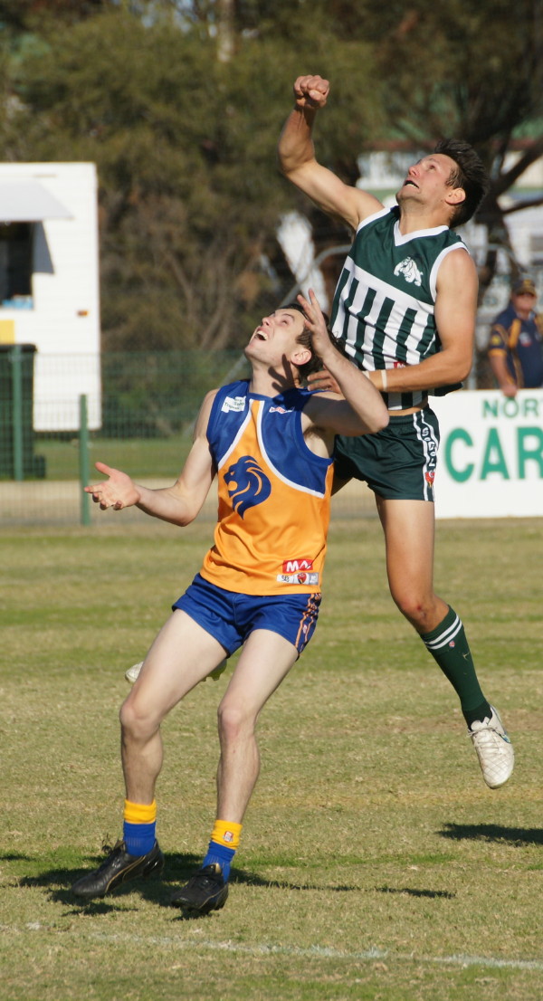 vLions030617 11