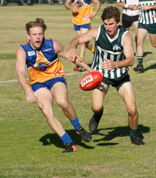 vLions030617 12