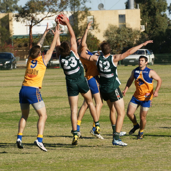 vLions030617 14