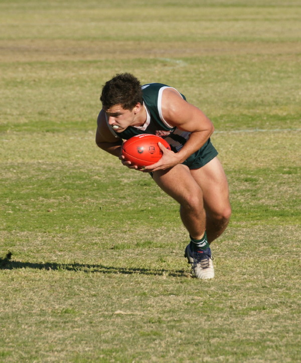 vLions030617 15