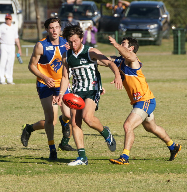 vLions030617 16