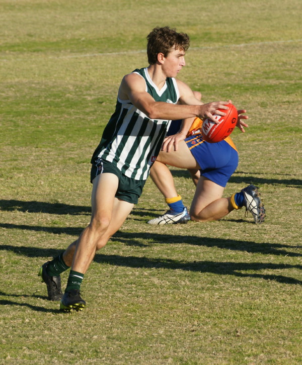 vLions030617 17